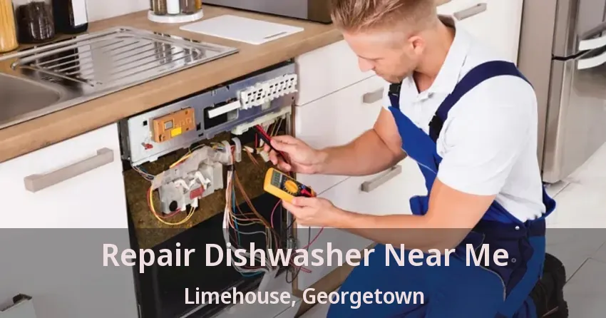 Repair Dishwasher Near Me Limehouse, Georgetown - ON