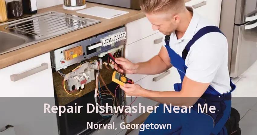 Repair Dishwasher Near Me Norval, Georgetown - ON