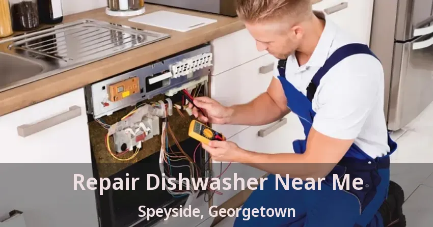 Repair Dishwasher Near Me Speyside, Georgetown - ON