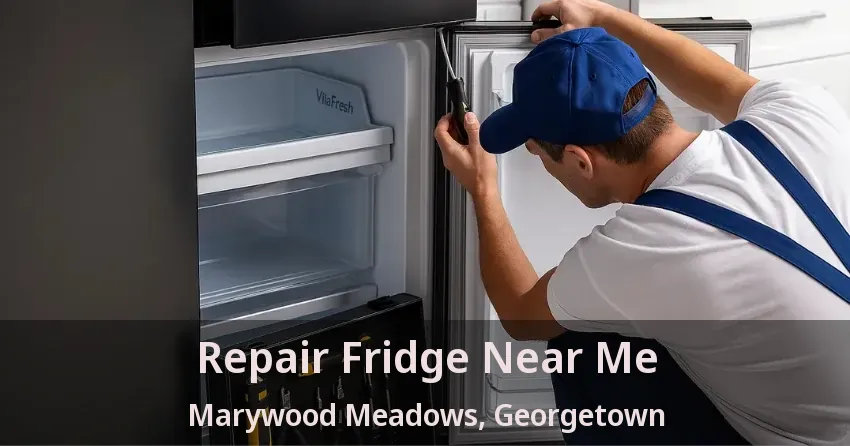 Repair Fridge Near Me Marywood Meadows, Georgetown - ON