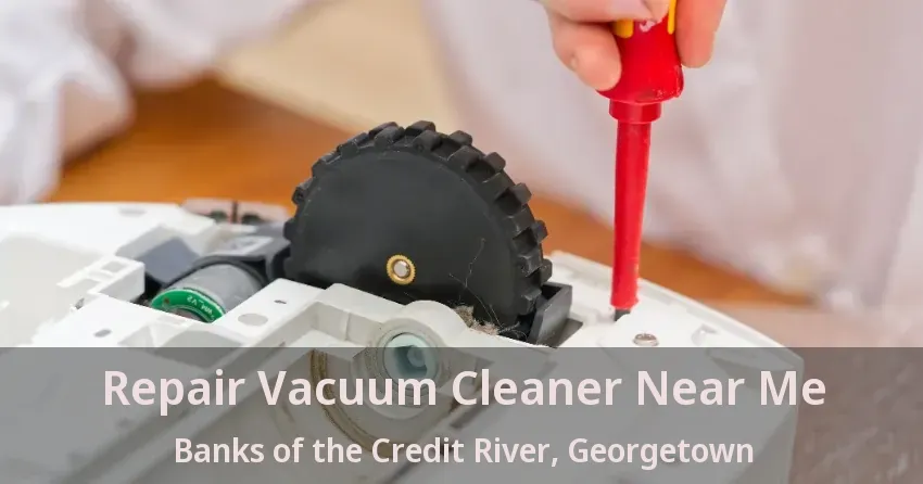 Repair Vacuum Cleaner Near Me Banks of the Credit River, Georgetown - ON
