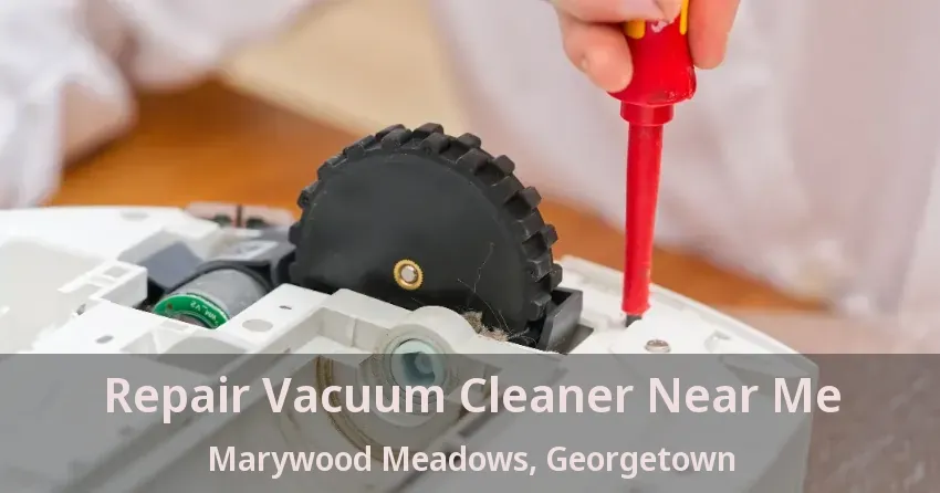 Repair Vacuum Cleaner Near Me Marywood Meadows, Georgetown - ON