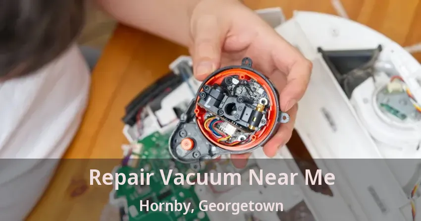 Repair Vacuum Near Me Hornby, Georgetown - ON