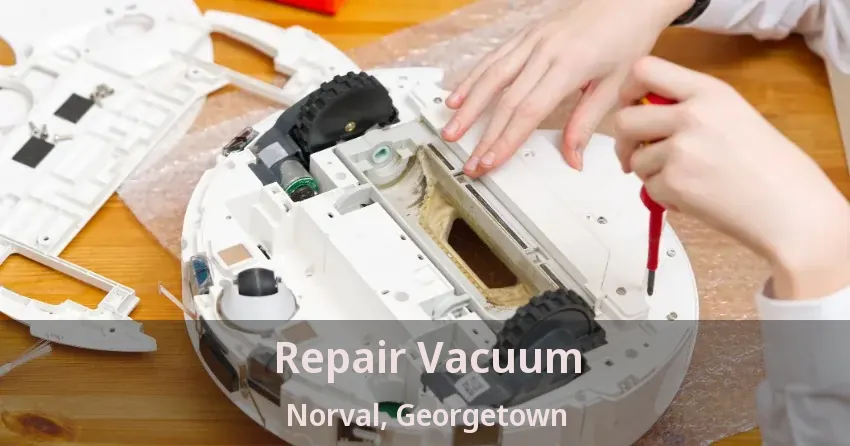 Repair Vacuum Norval, Georgetown - ON