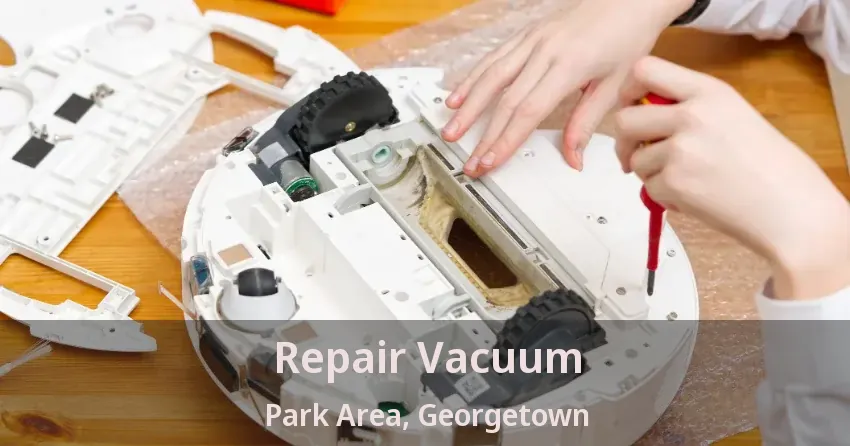 Repair Vacuum Park Area, Georgetown - ON
