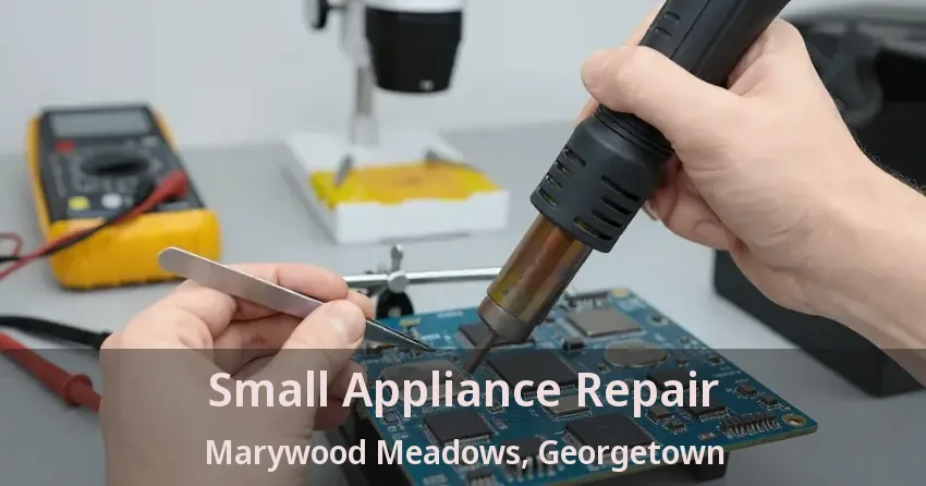 Small Appliance Repair Marywood Meadows, Georgetown - ON