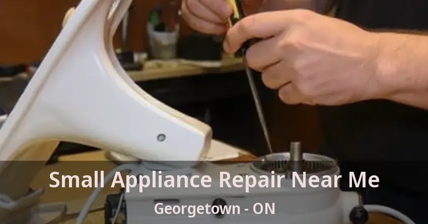 Small Appliance Repair Near Me Georgetown - ON