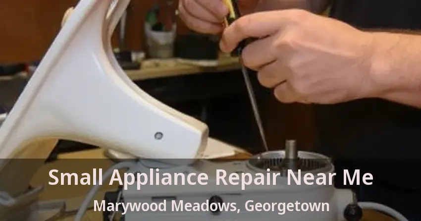 Small Appliance Repair Near Me Marywood Meadows, Georgetown - ON