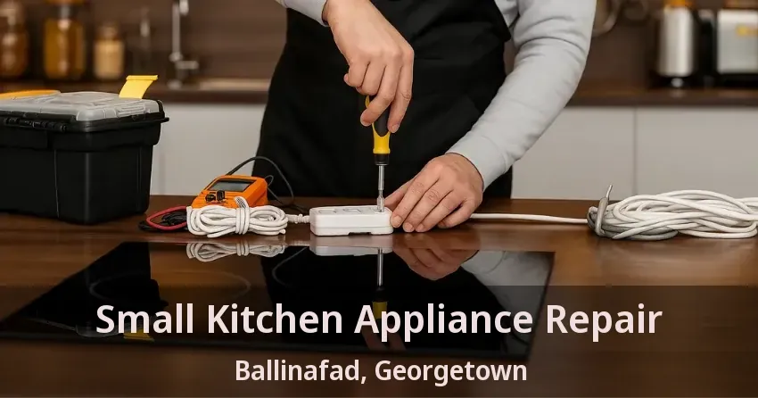 Small Kitchen Appliance Repair Ballinafad, Georgetown - ON