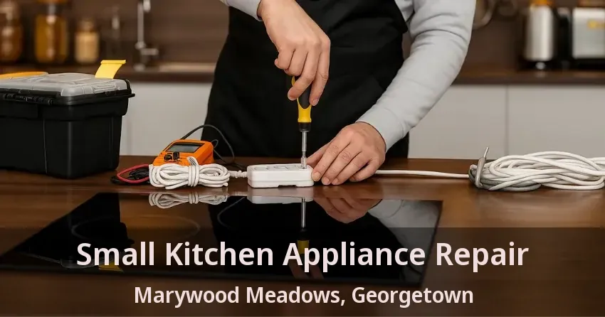 Small Kitchen Appliance Repair Marywood Meadows, Georgetown - ON