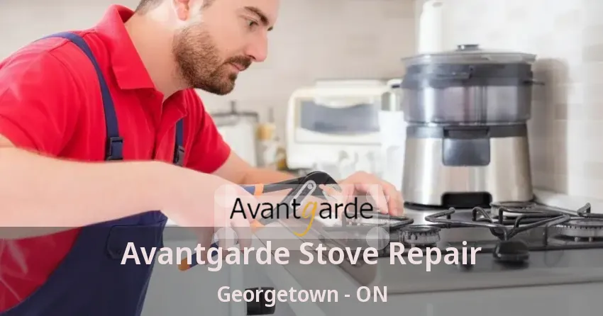 Avantgarde Stove Repair Georgetown - ON