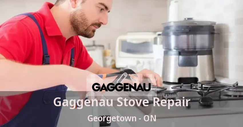 Gaggenau Stove Repair Georgetown - ON