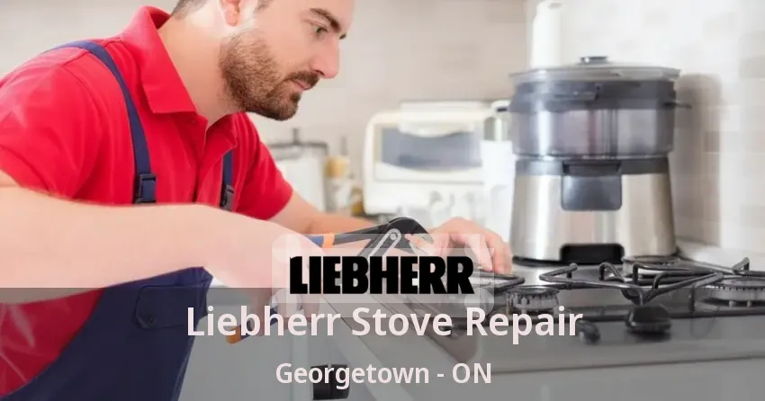 Liebherr Stove Repair Georgetown - ON