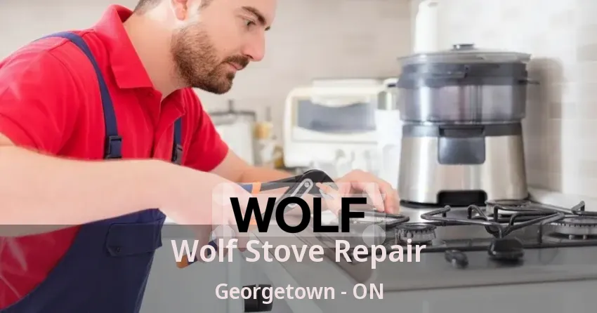 Wolf Stove Repair Georgetown - ON