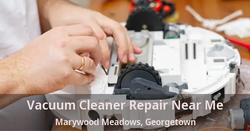 Vacuum Cleaner Repair Near Me Marywood Meadows, Georgetown - ON
