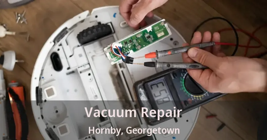 Vacuum Repair Hornby, Georgetown - ON