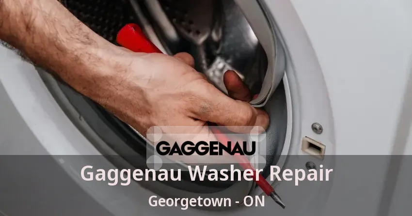 Gaggenau Washer Repair Georgetown - ON