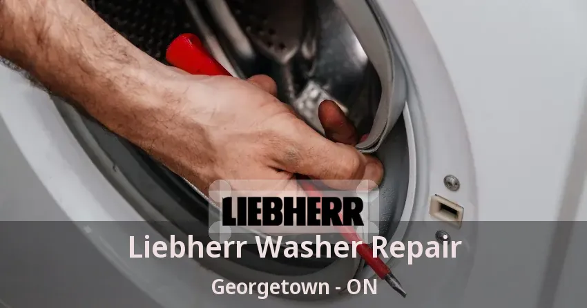 Liebherr Washer Repair Georgetown - ON