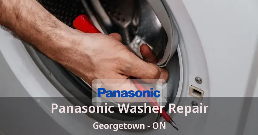 Panasonic Washer Repair Georgetown - ON