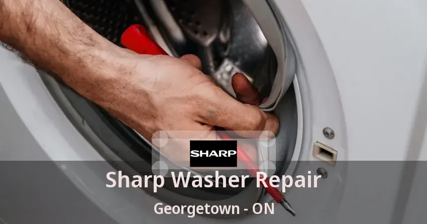 Sharp Washer Repair Georgetown - ON