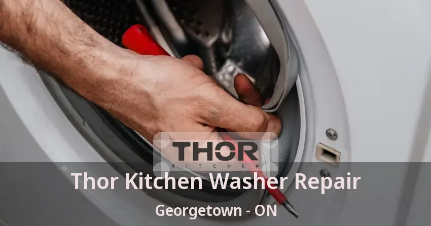 Thor Kitchen Washer Repair Georgetown - ON