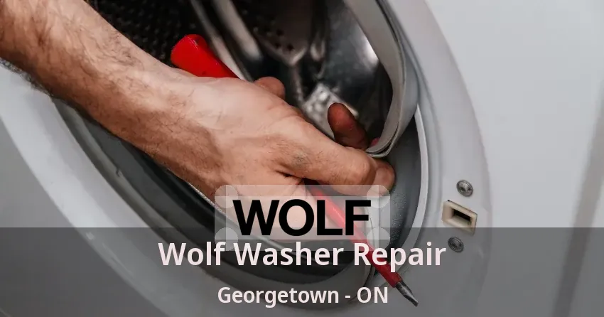Wolf Washer Repair Georgetown - ON