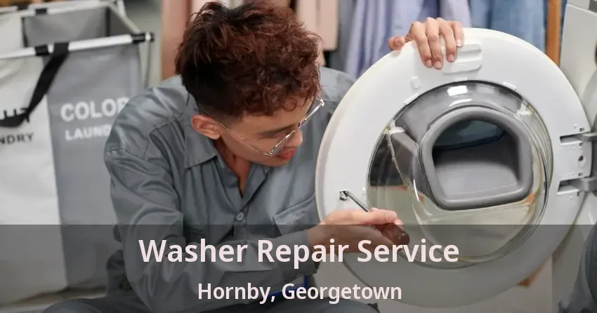 Washer Repair Service Hornby, Georgetown - ON