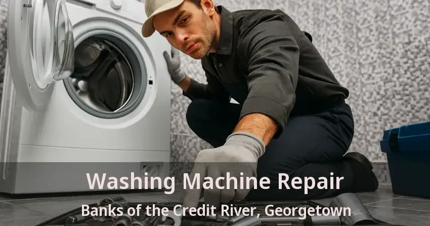 Washing Machine Repair Banks of the Credit River, Georgetown - ON