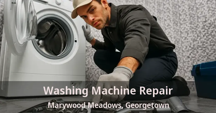 Washing Machine Repair Marywood Meadows, Georgetown - ON